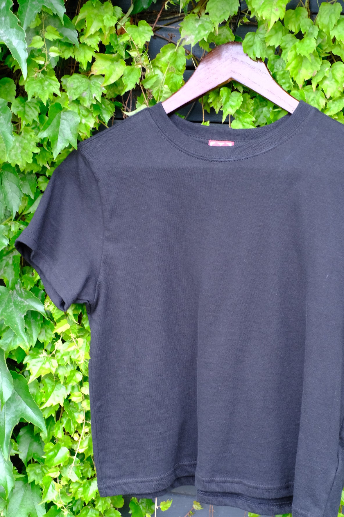 Classic Crop Tee in Pitch Black