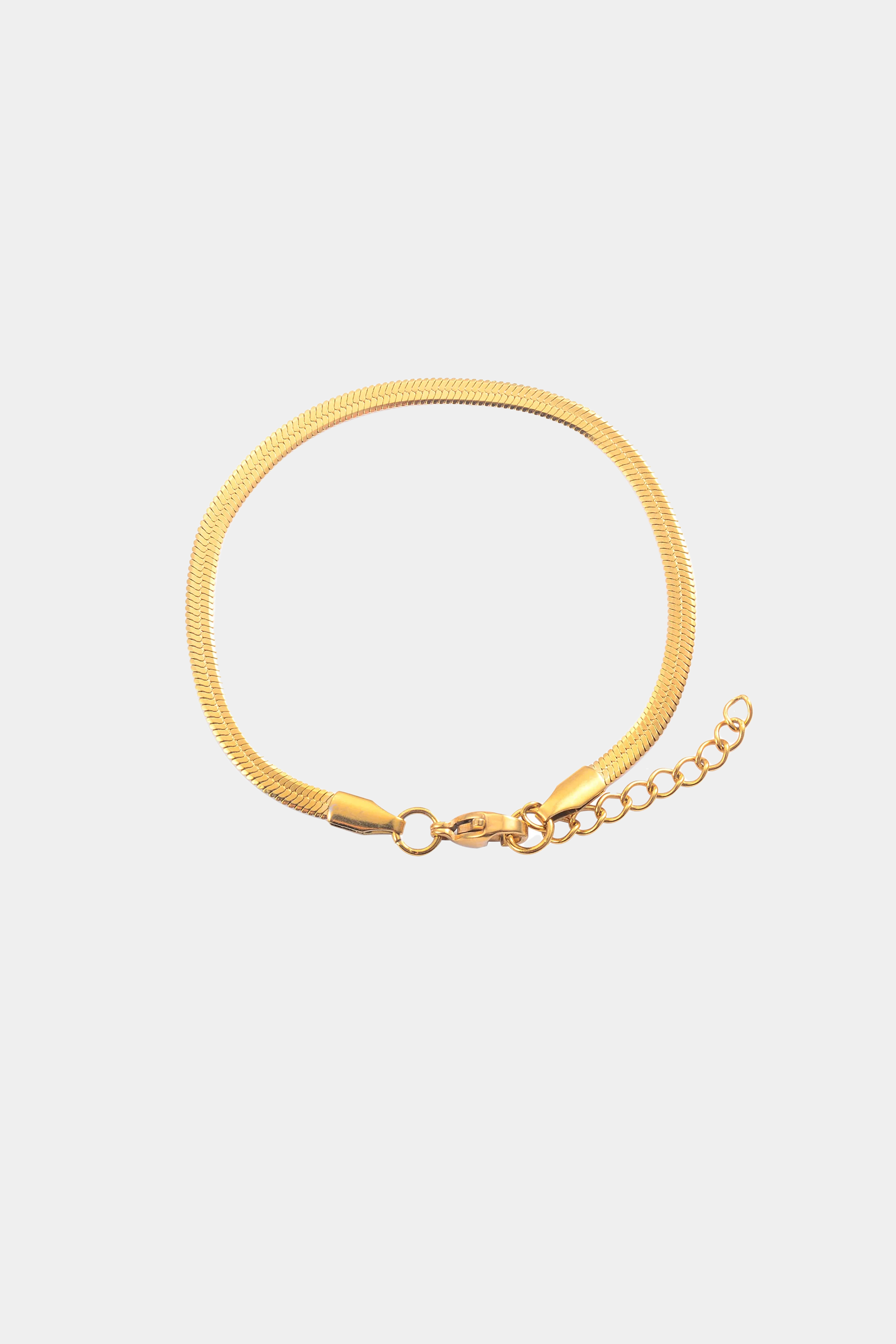 Delicate Snake Chain Bracelet in Gold