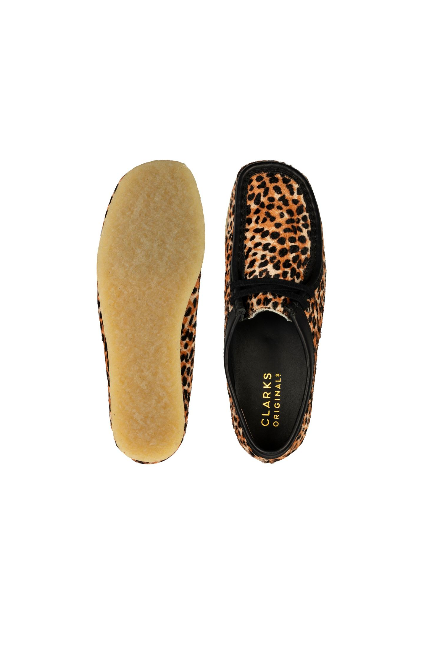 Leopard clarks 2025