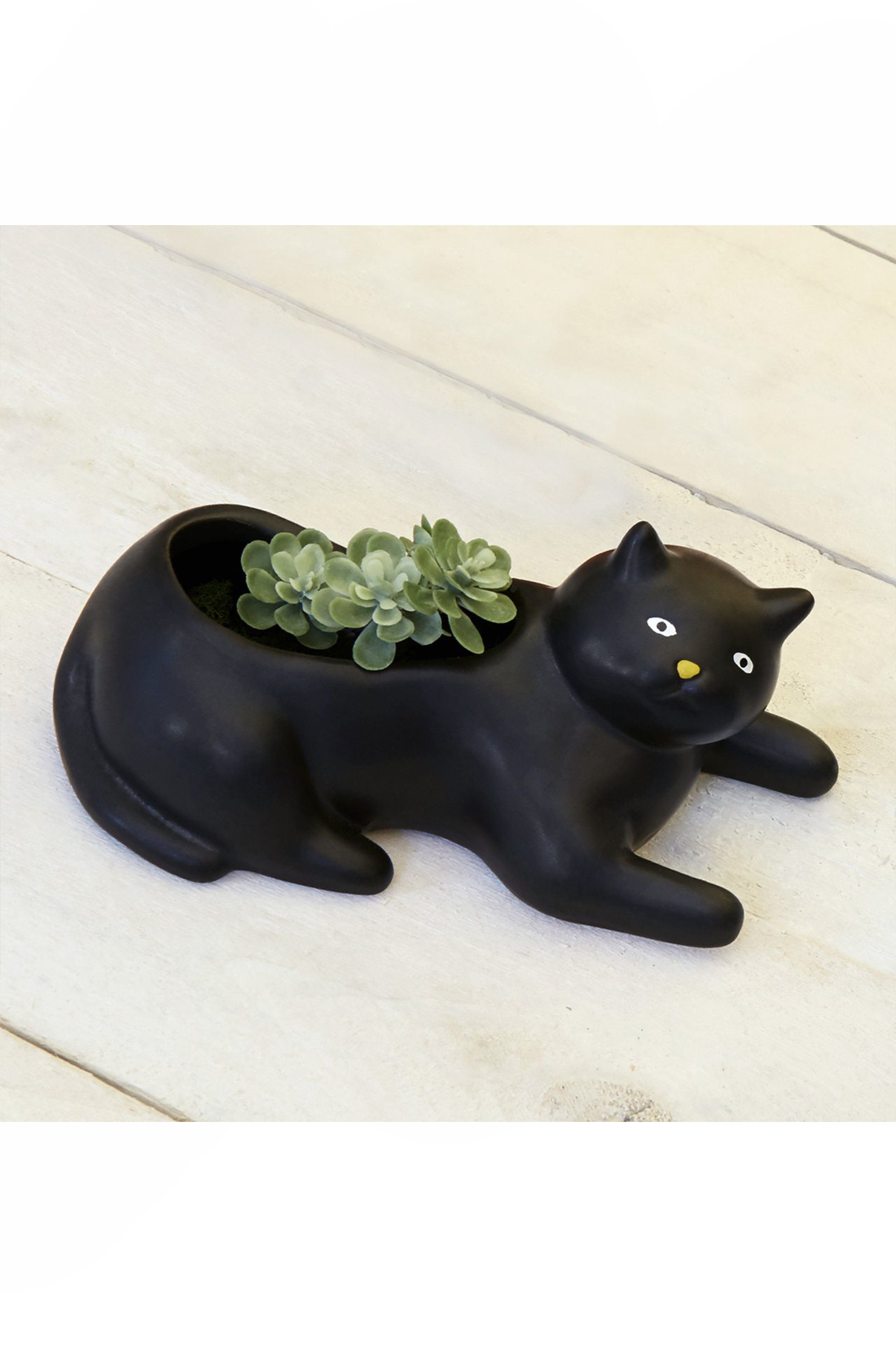 Cosmo the Black Cat Planter - Philistine