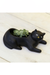 Cosmo the Black Cat Planter - Philistine